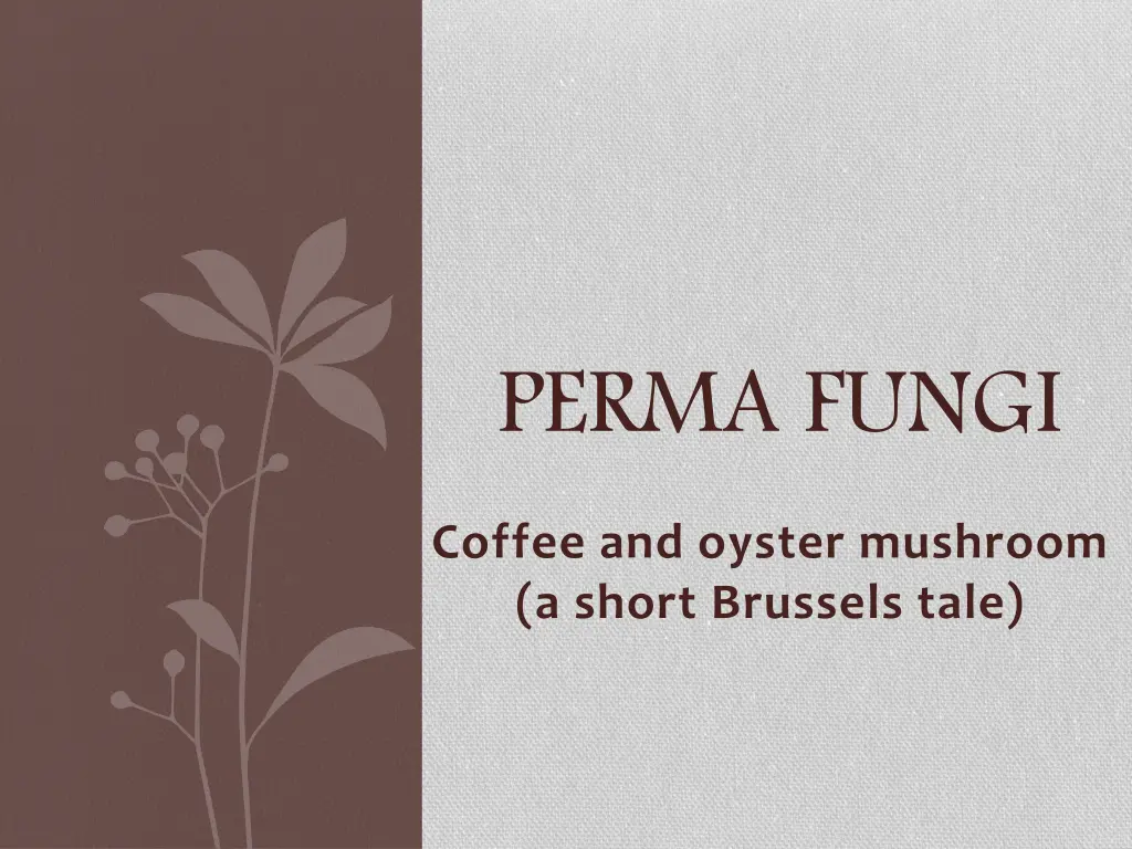 perma fungi