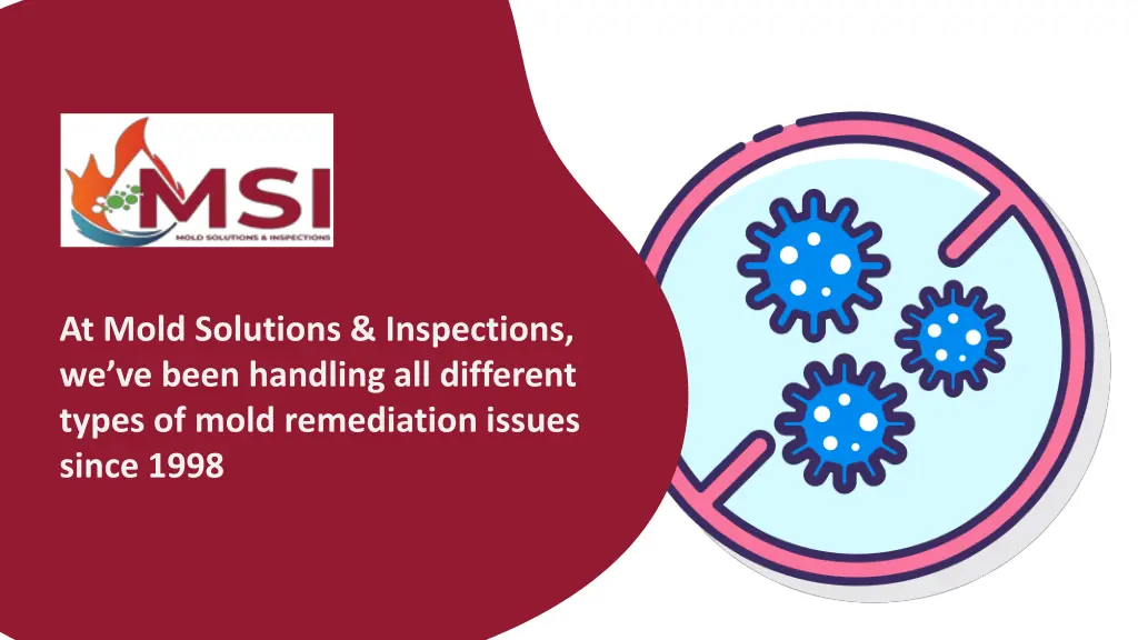 at mold solutions inspections we ve been handling