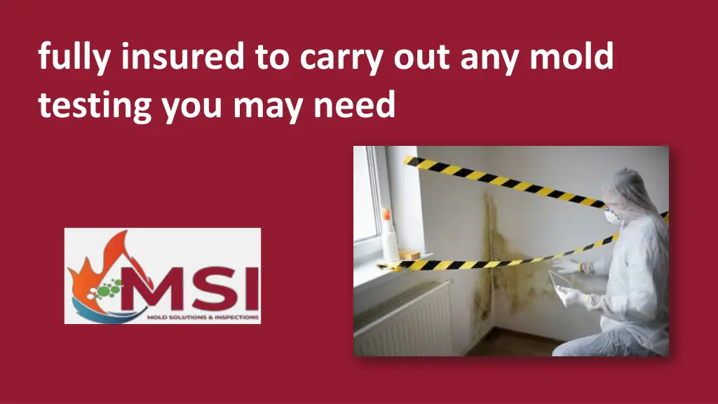 fully insured to carry out any mold testing
