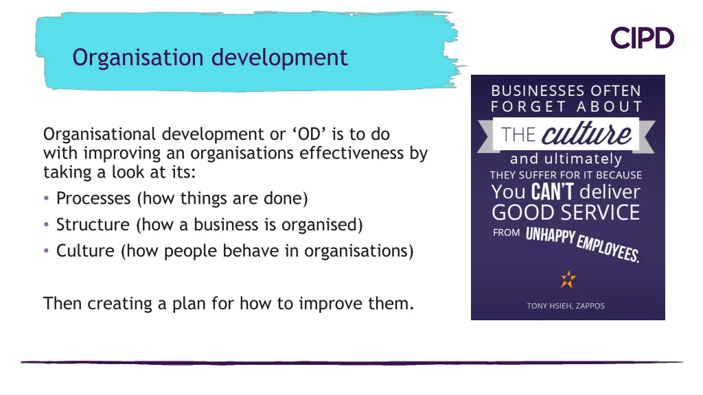 organisation development