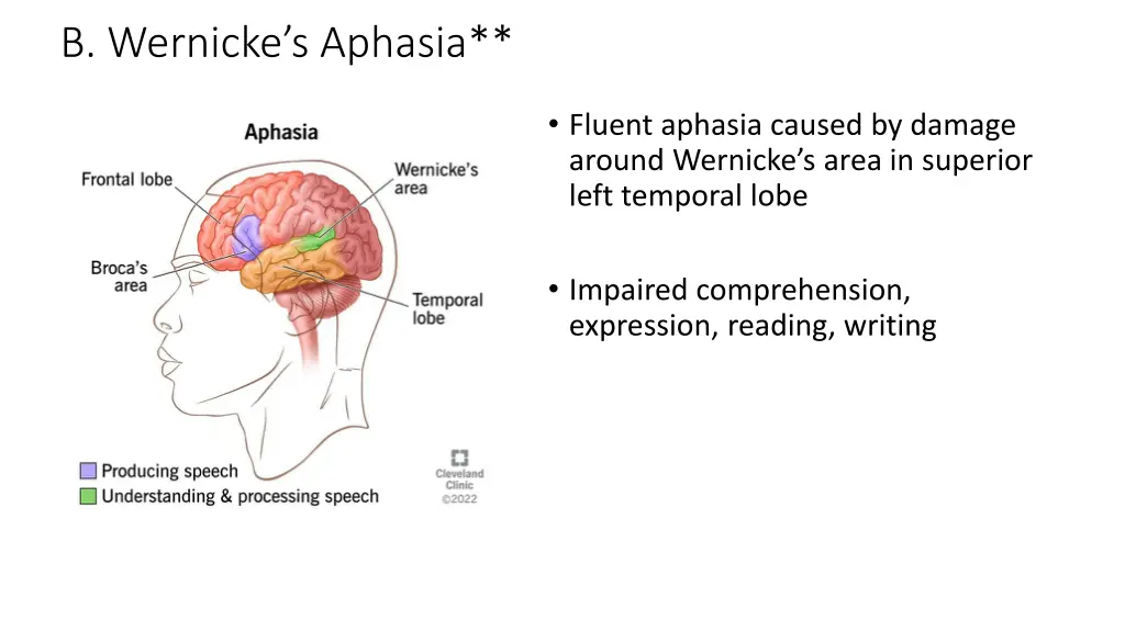 b wernicke s aphasia