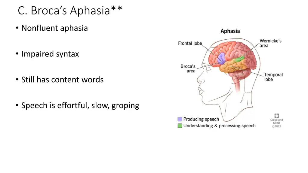 c broca s aphasia