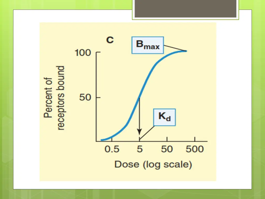 slide11