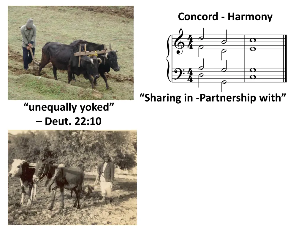 concord harmony
