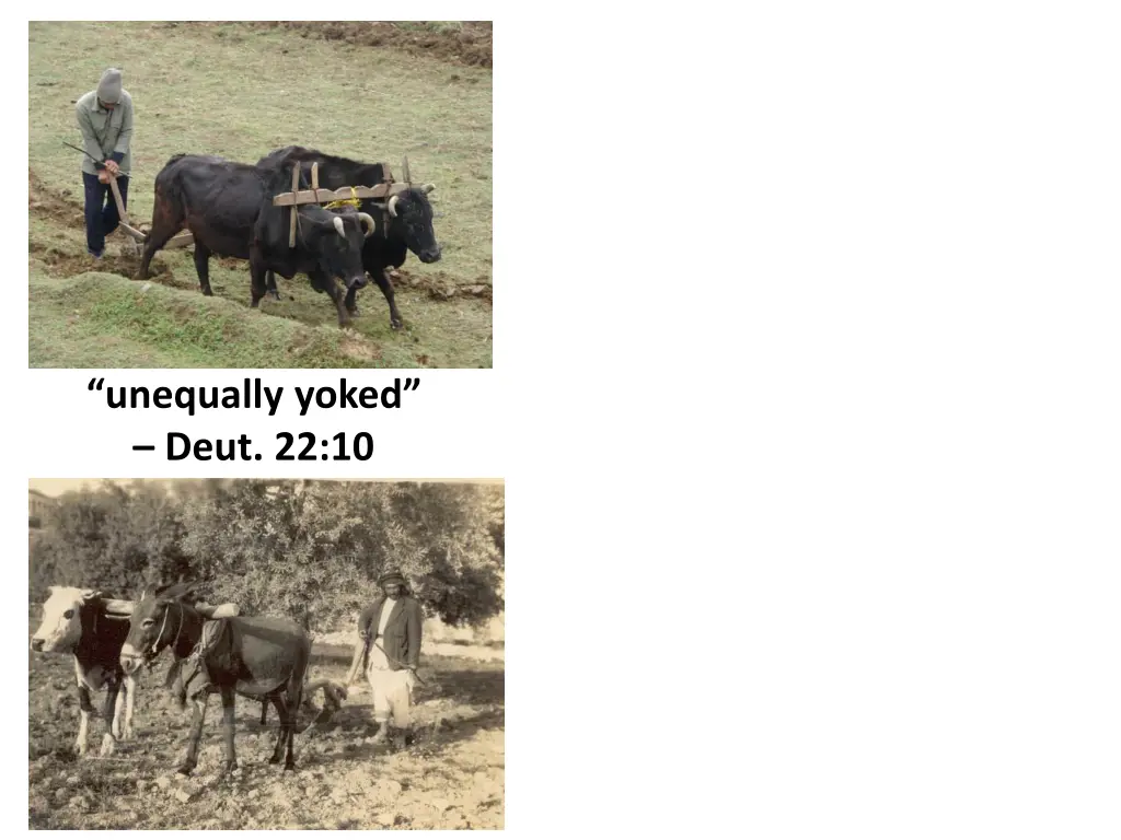 unequally yoked deut 22 10