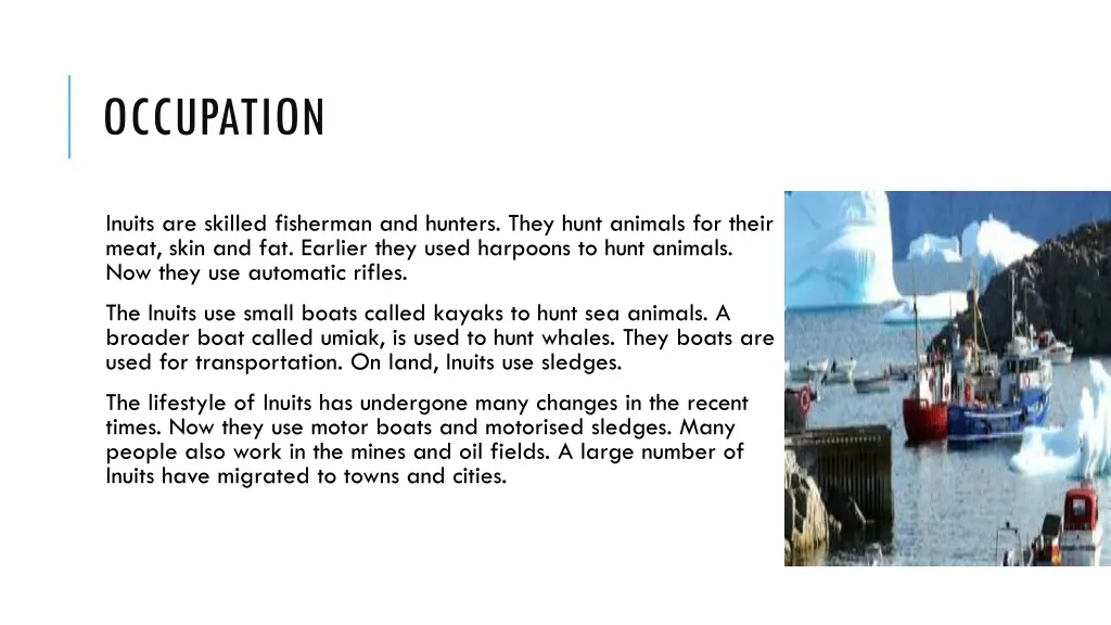 occupation