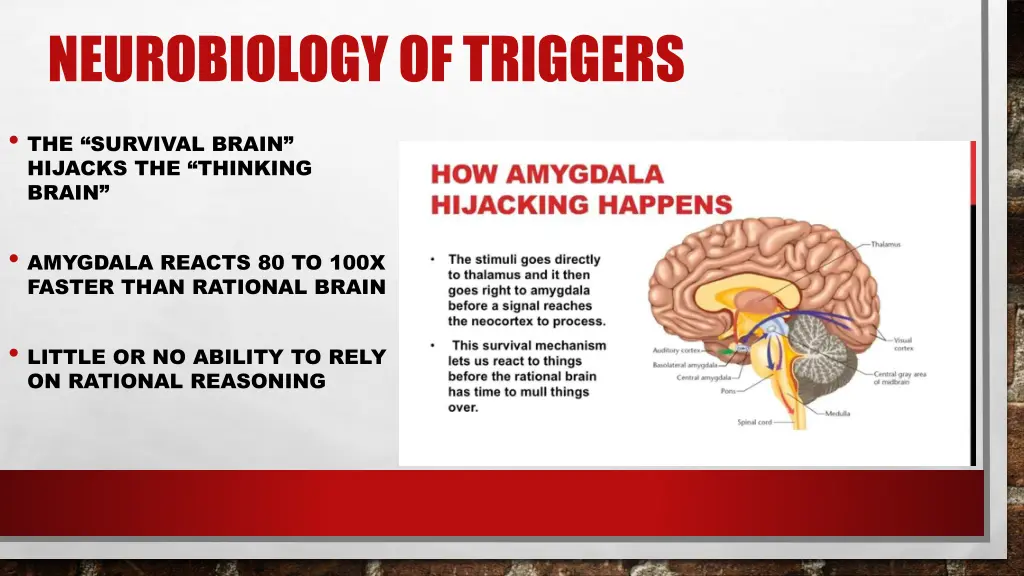neurobiology of triggers