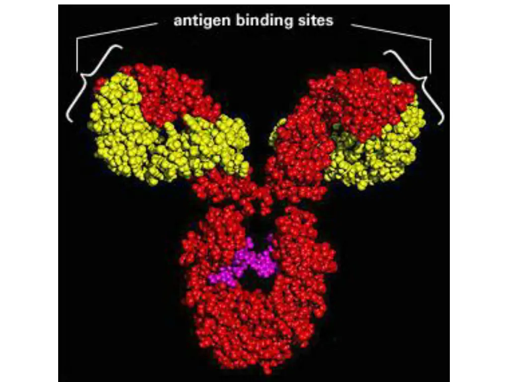 http www frontiers in genetics org en pictures
