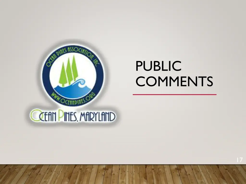 public comments