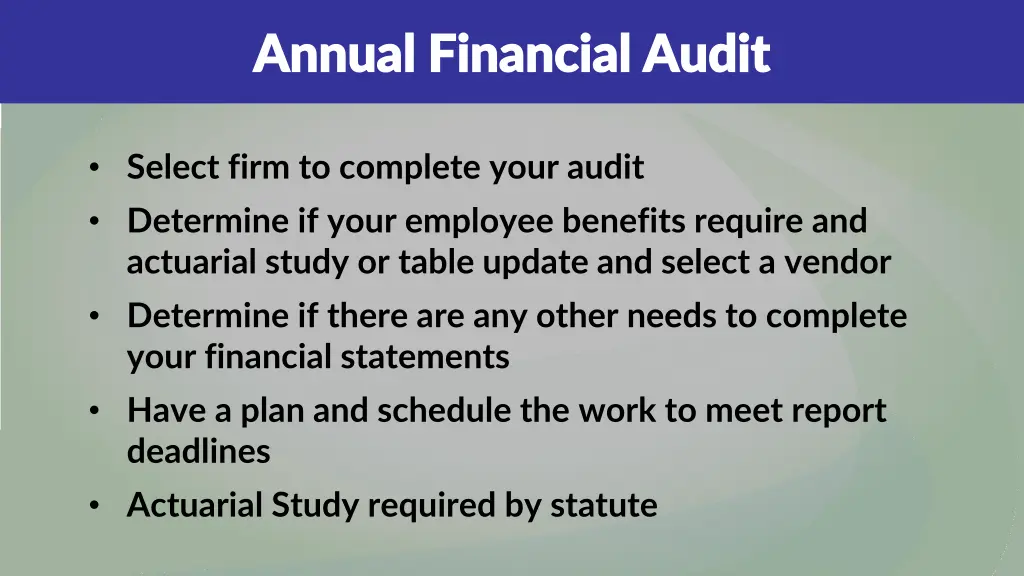 annual financial audit annual financial audit