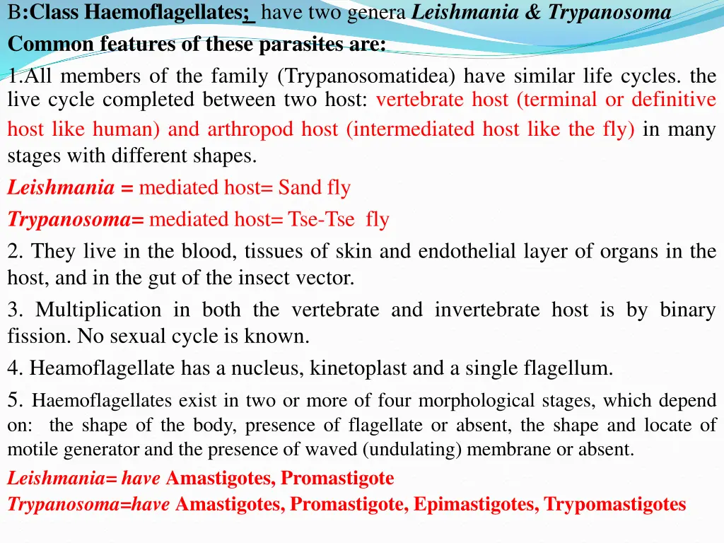 b class haemoflagellates have two genera
