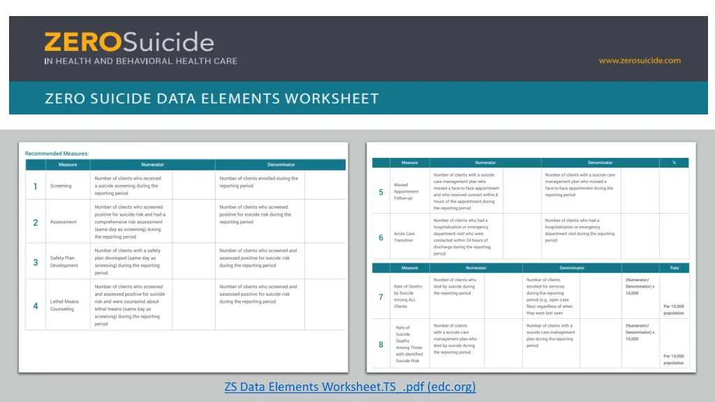 zs data elements worksheet ts pdf edc org