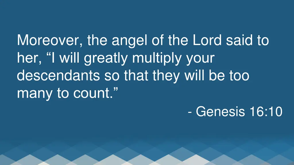 moreover the angel of the lord said to her i will