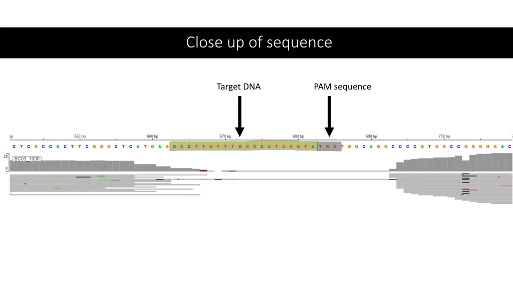 close up of sequence 1