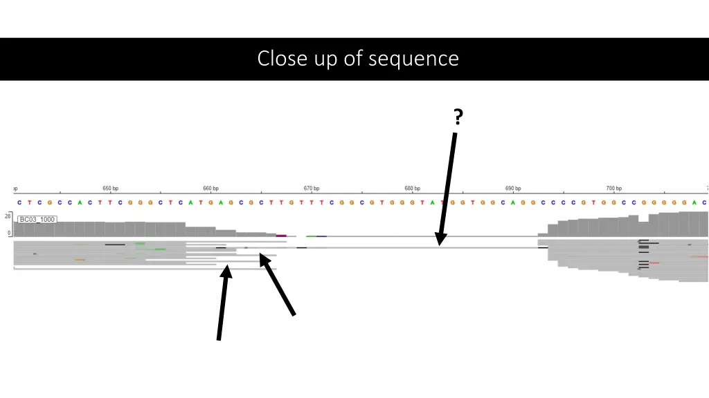 close up of sequence