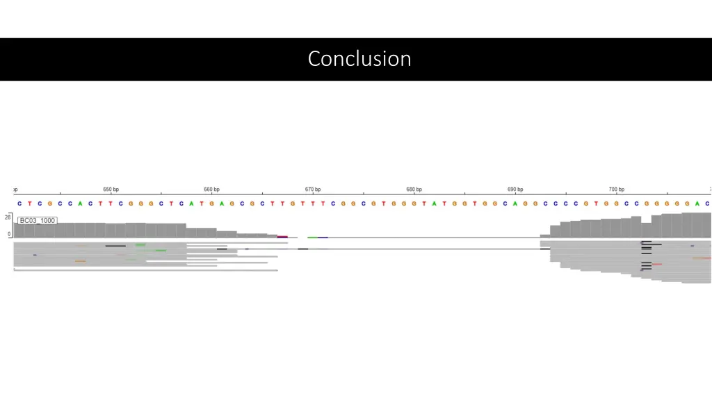 conclusion