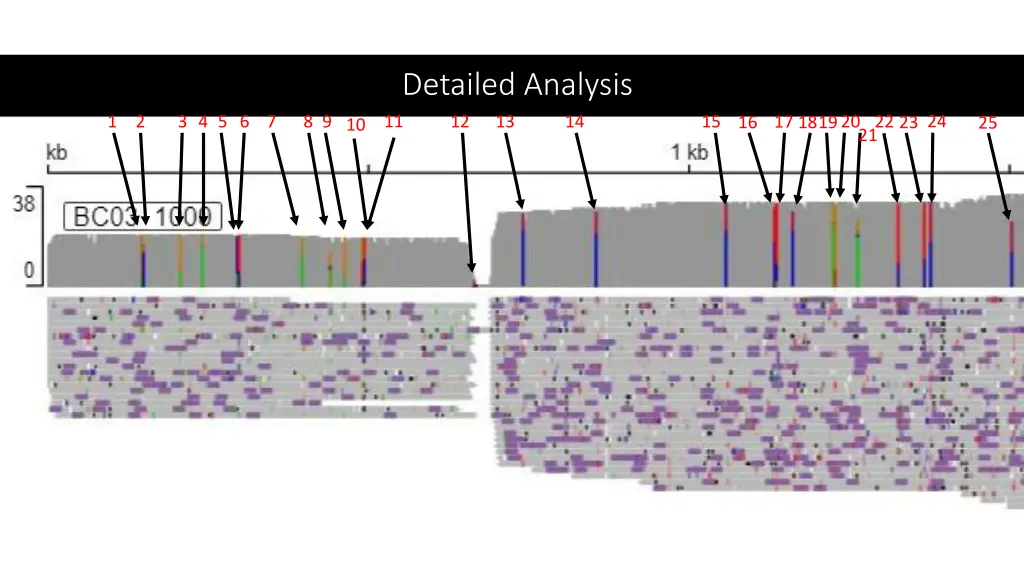 detailed analysis 1
