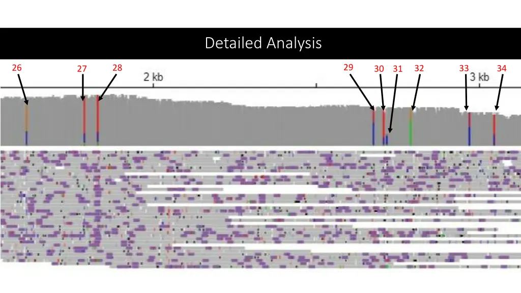 detailed analysis 2