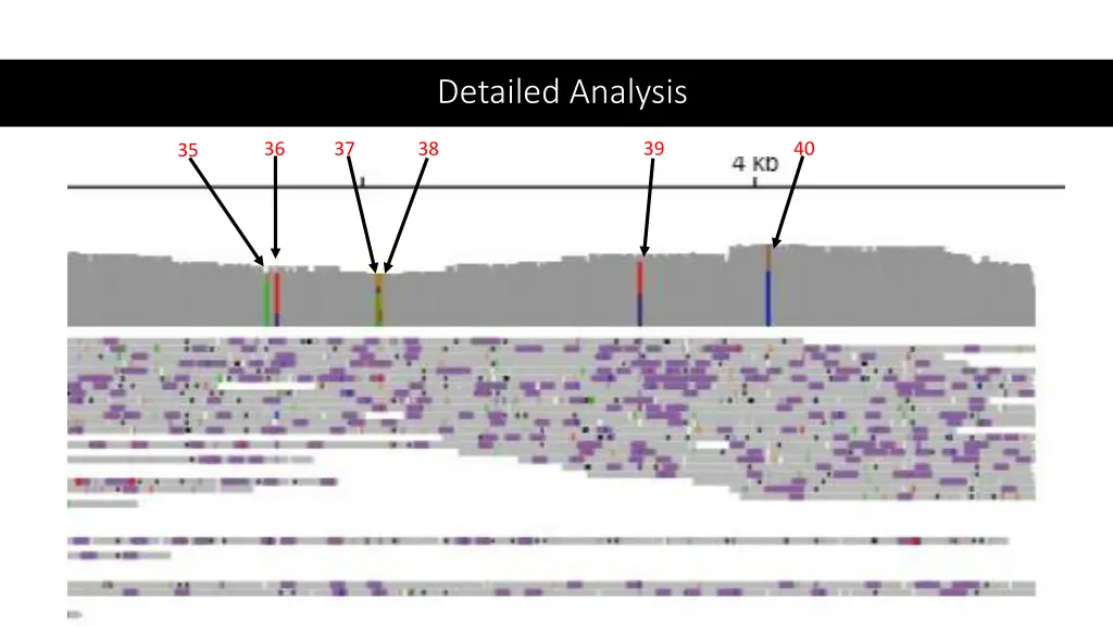 detailed analysis 3