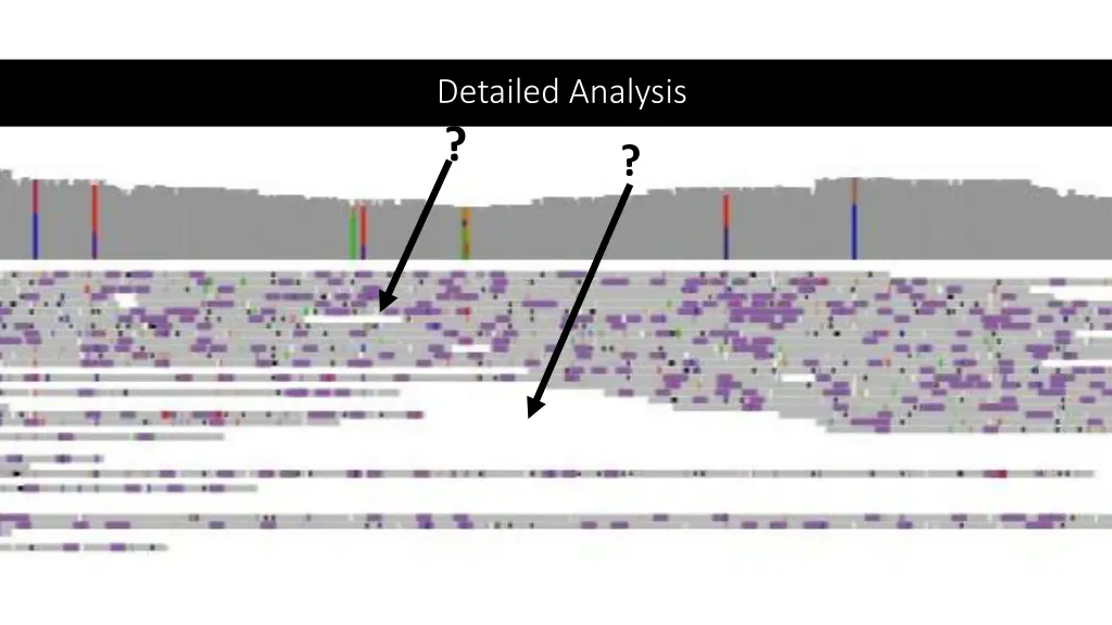 detailed analysis 5