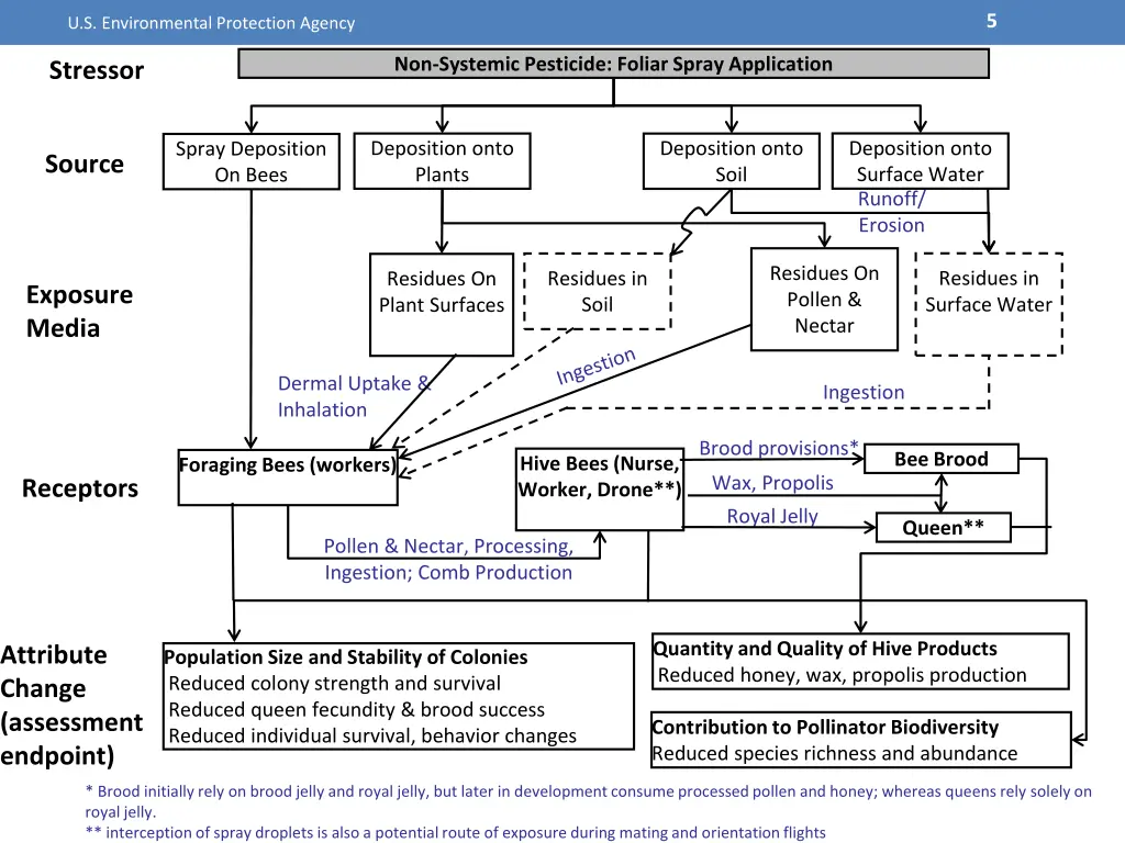 slide5