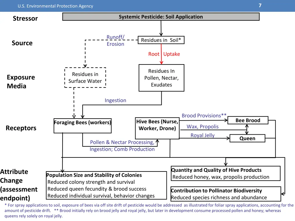 slide7