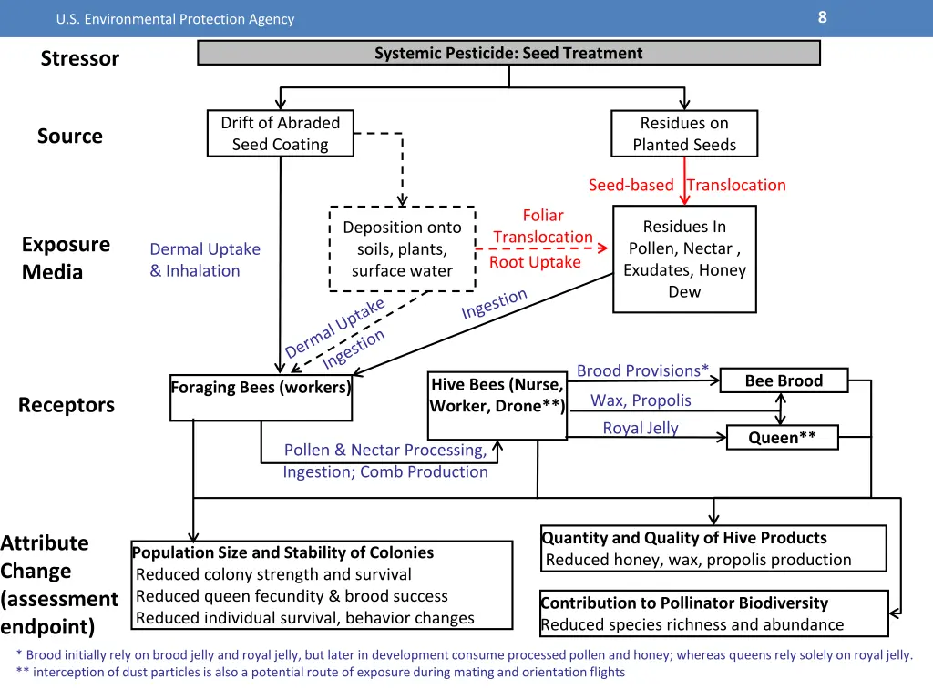 slide8