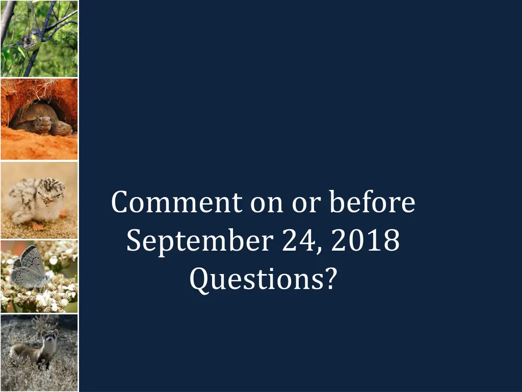 comment on or before september 24 2018 questions