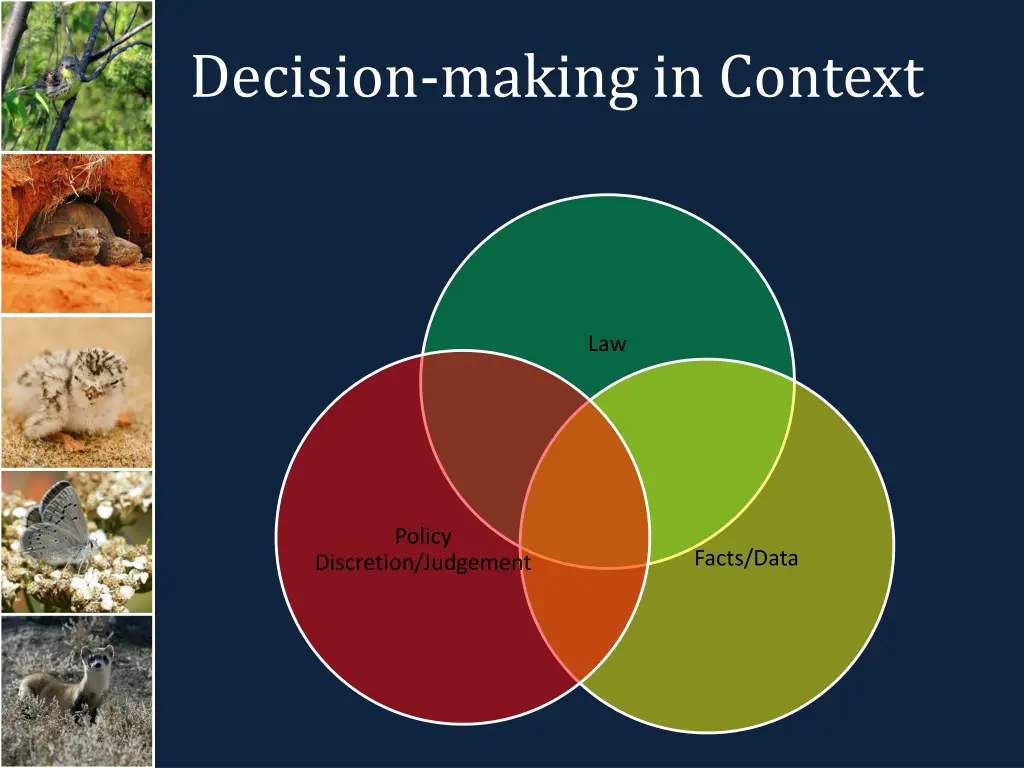 decision making in context
