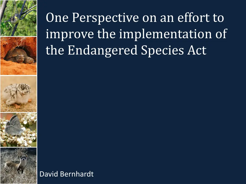 one perspective on an effort to improve