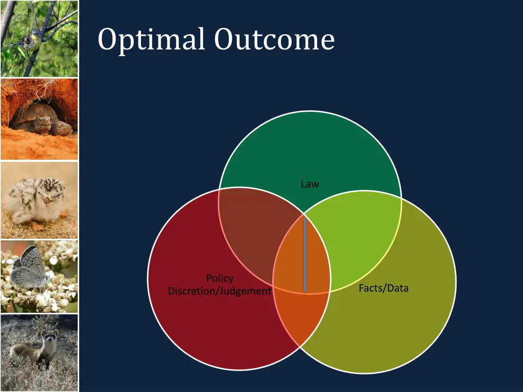 optimal outcome