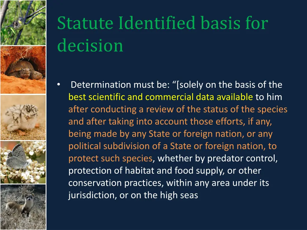 statute identified basis for decision