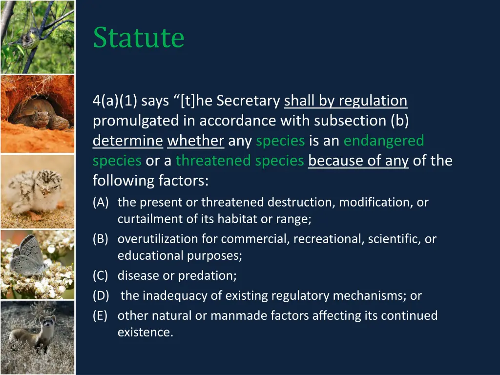 statute
