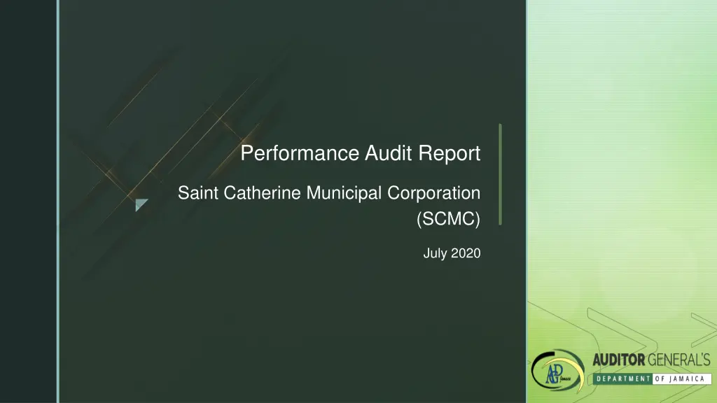 performance audit report