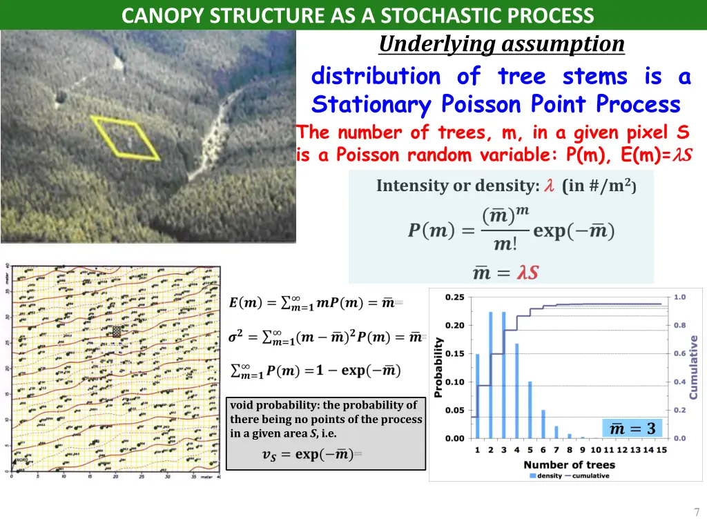 canopy structure as a stochastic process