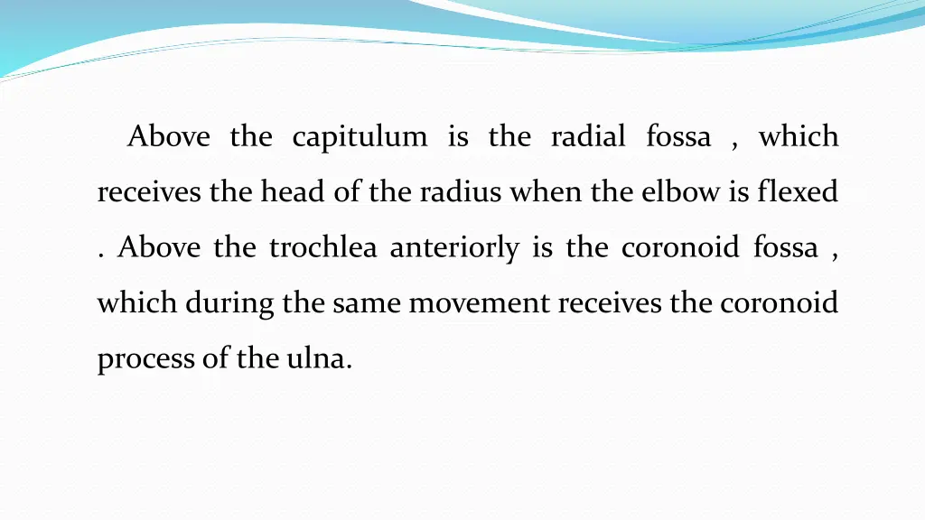 above the capitulum is the radial fossa which
