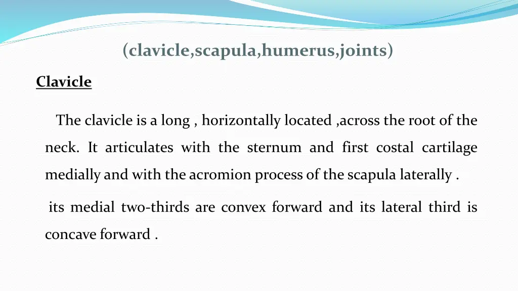 clavicle scapula humerus joints