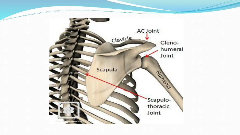 slide16