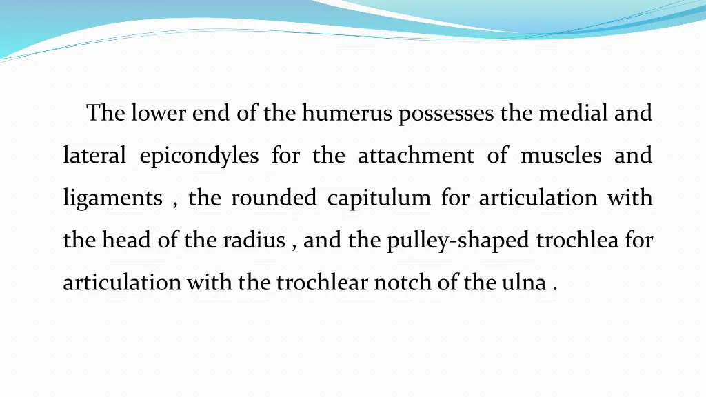 the lower end of the humerus possesses the medial