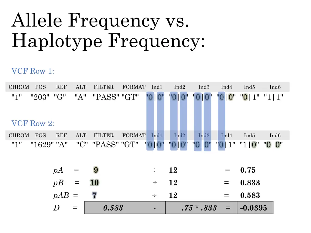 allele frequency vs haplotype frequency 4