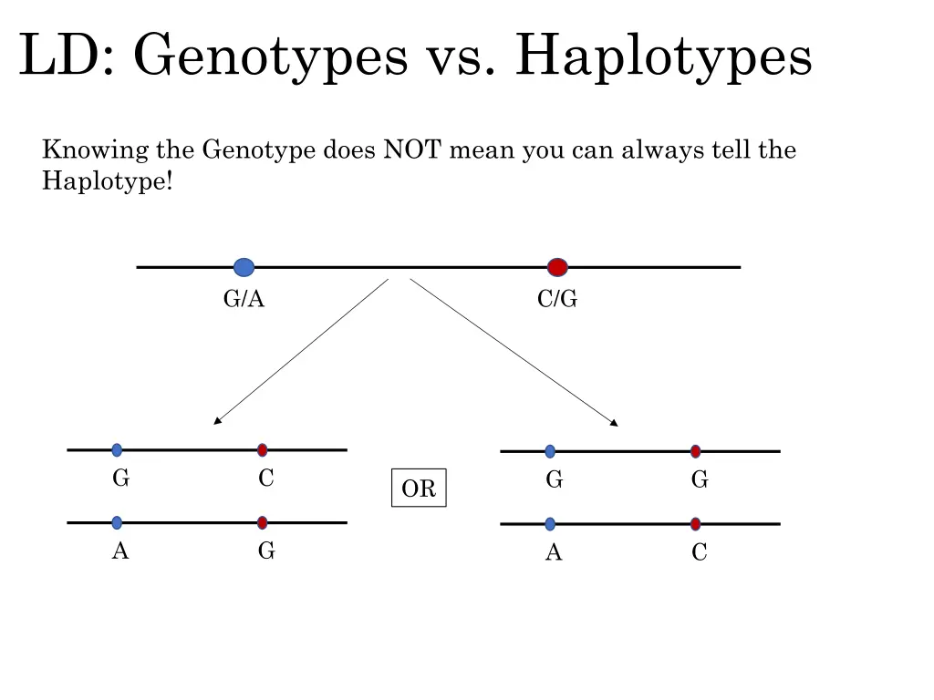 ld genotypes vs haplotypes