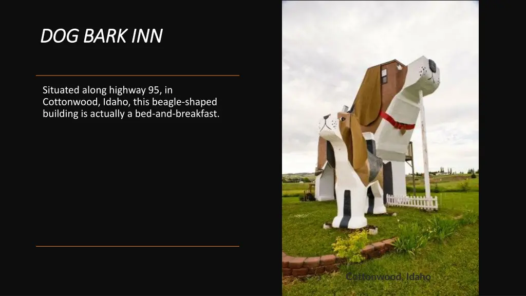 dog bark inn dog bark inn
