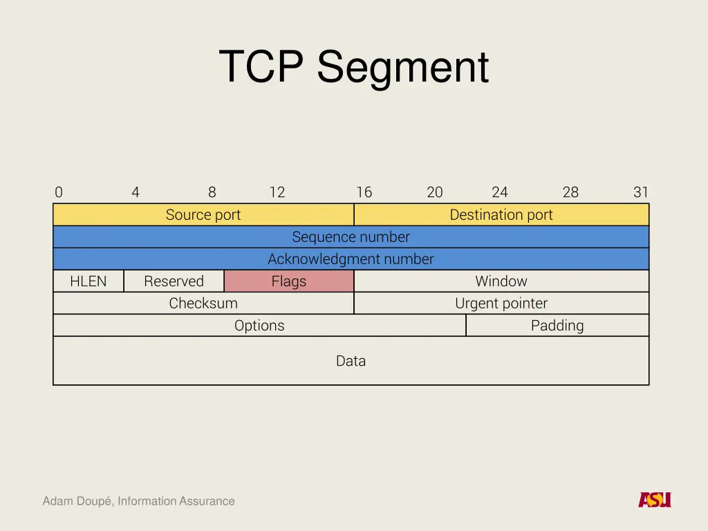 tcp segment