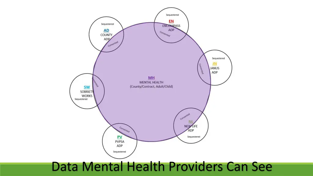 data mental health providers can see