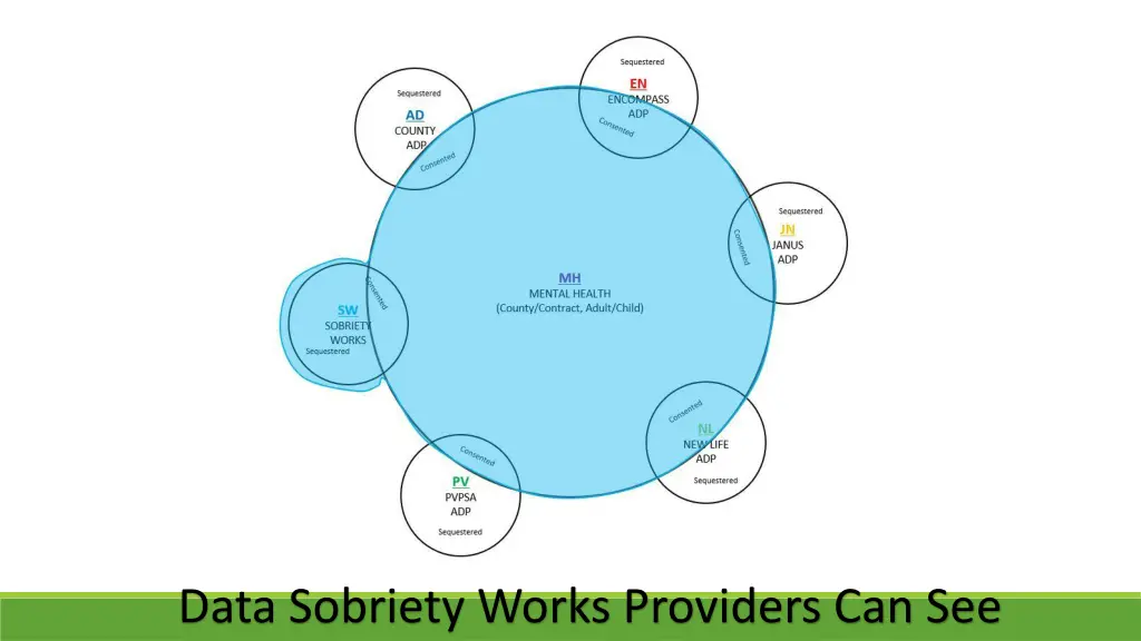 data sobriety works providers can see