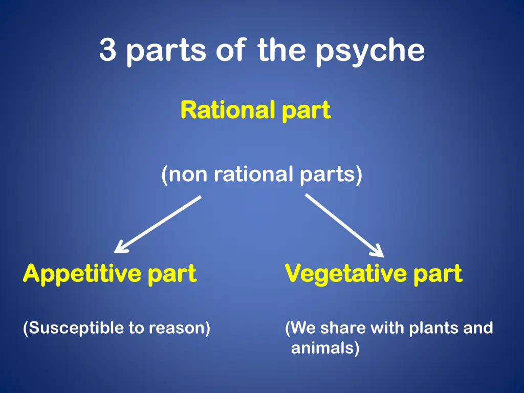 3 parts of the psyche