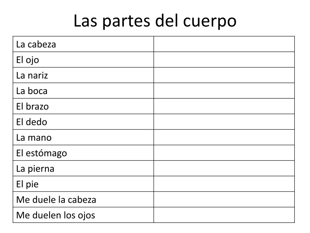 las partes del cuerpo 1