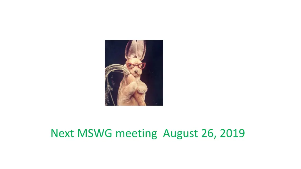 next mswg meeting august 26 2019