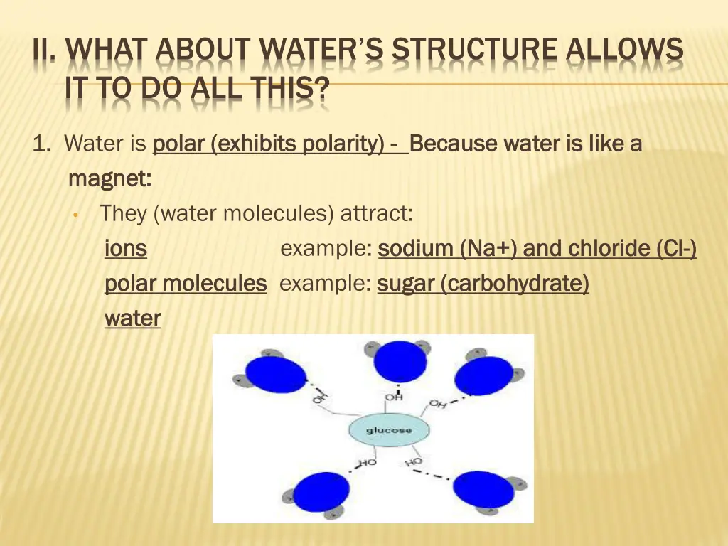 ii what about water s structure allows 2