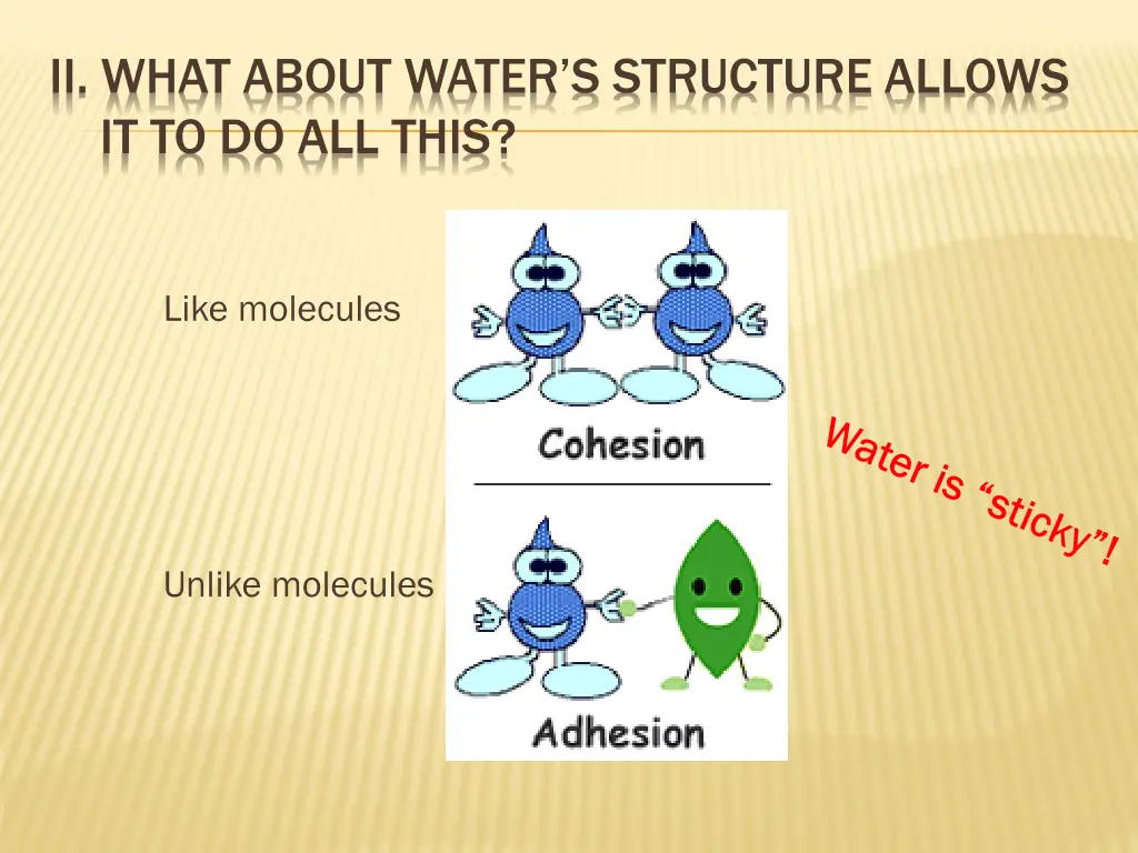 ii what about water s structure allows 5